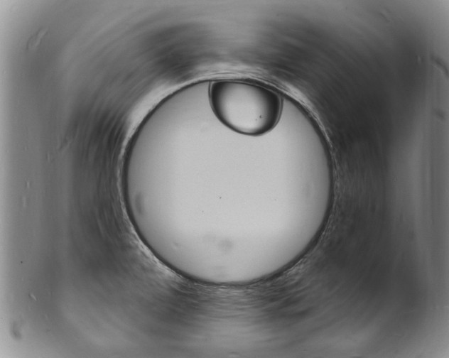 X0000101671472200807101037