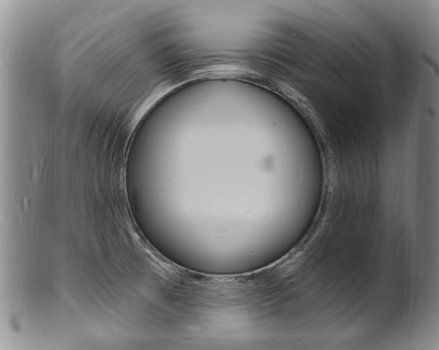 X0000101671473200807101037