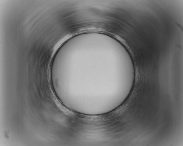 X0000101671474200807101037