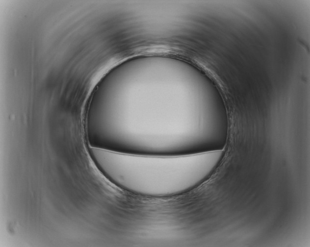 X0000101671475200807101037