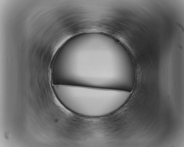 X0000101671476200807101037