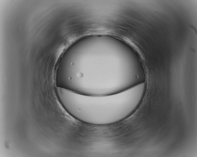 X0000101671477200807101037