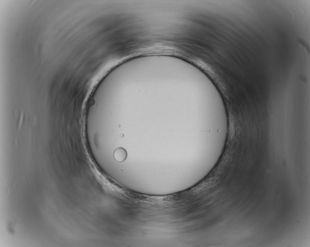 X0000101671478200807101037
