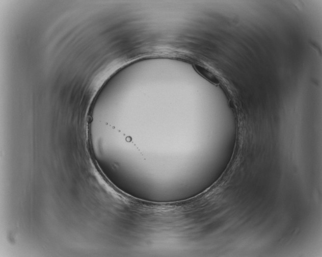 X0000101671479200807101037