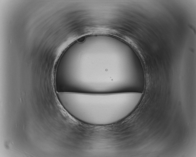 X0000101671480200807101037