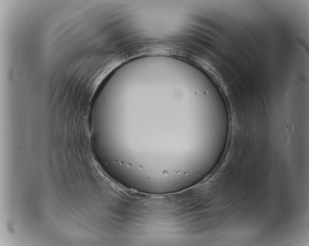 X0000101671481200807101037
