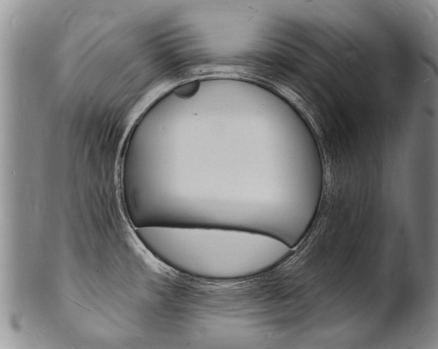 X0000101671482200807101037