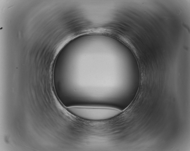 X0000101671483200807101037