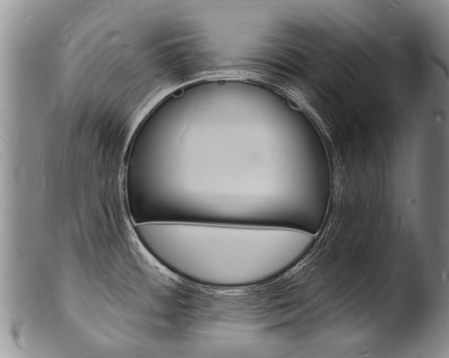 X0000101671484200807101037