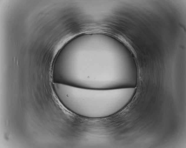 X0000101671485200807101037