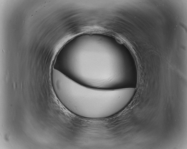 X0000101671488200807101037