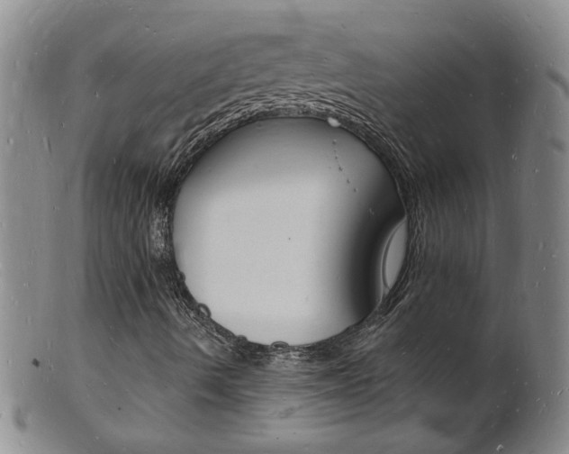 X0000101671490200807101036