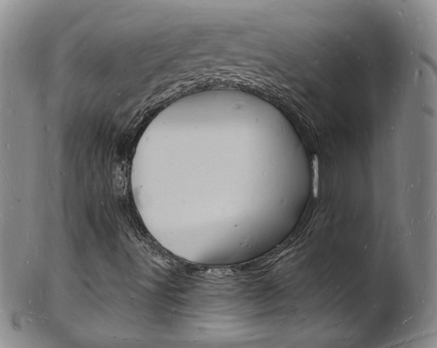 X0000101671491200807101036
