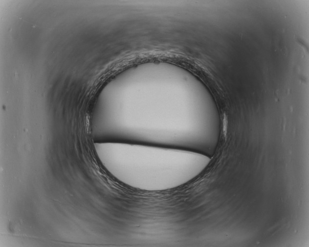 X0000101671492200807101036
