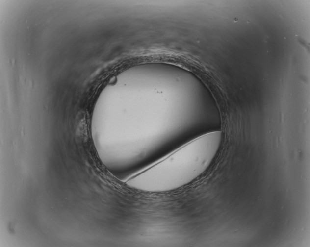 X0000101671493200807101036
