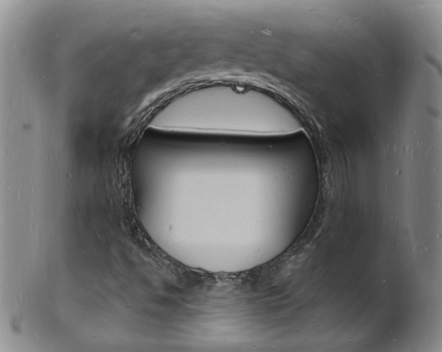 X0000101671494200807101036