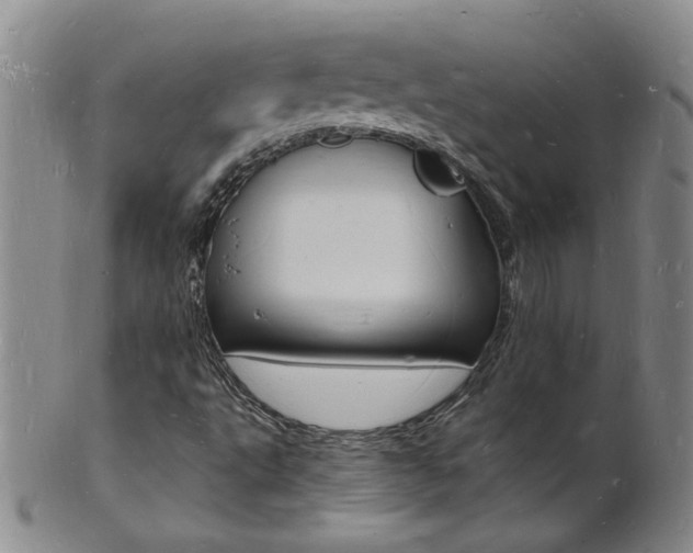 X0000101671495200807101036