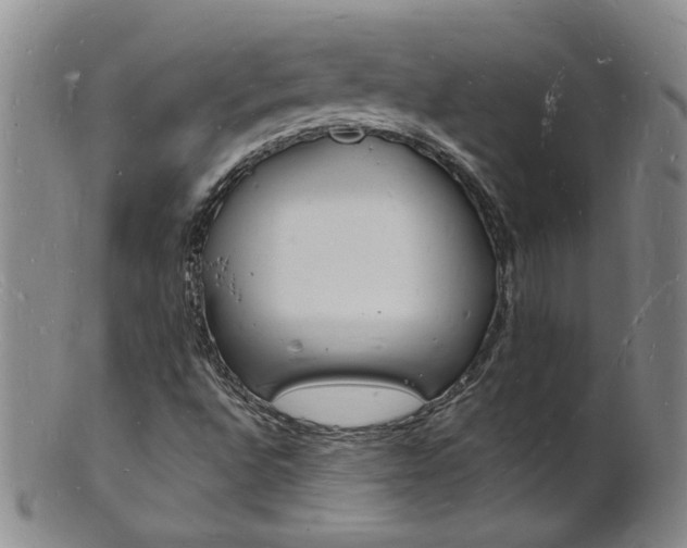 X0000101671496200807101036