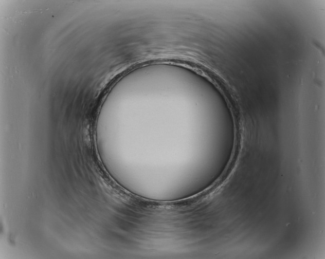 X0000101671497200807101036