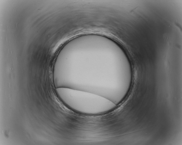 X0000101671498200807101037