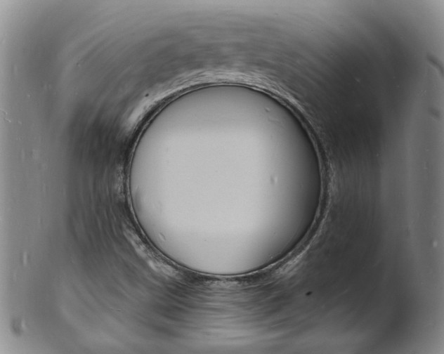 X0000101671499200807101037