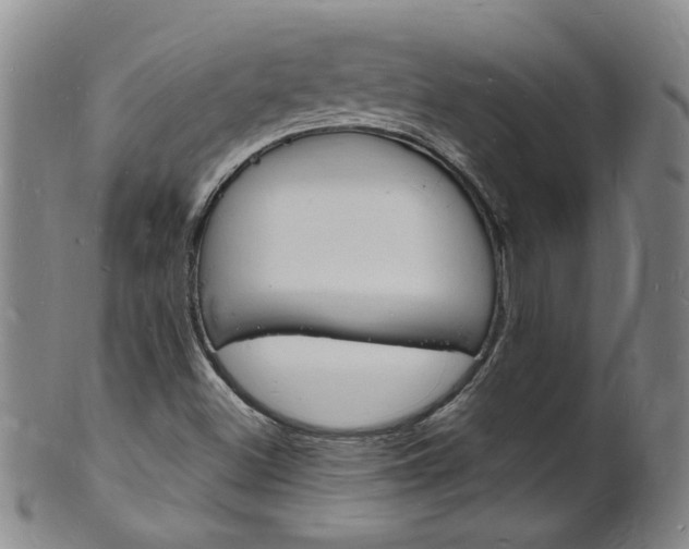 X0000101671500200807101037