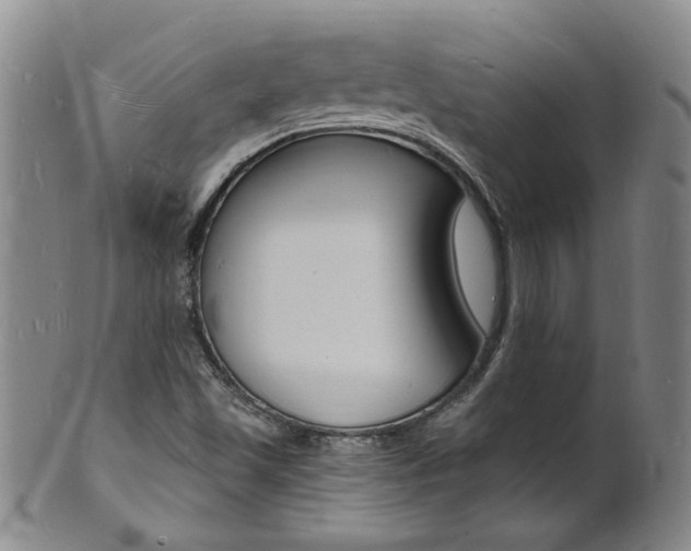 X0000101671501200807101037