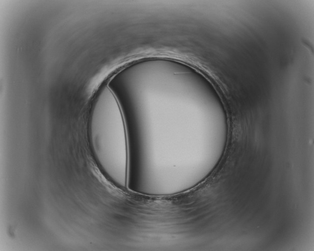X0000101671503200807101037