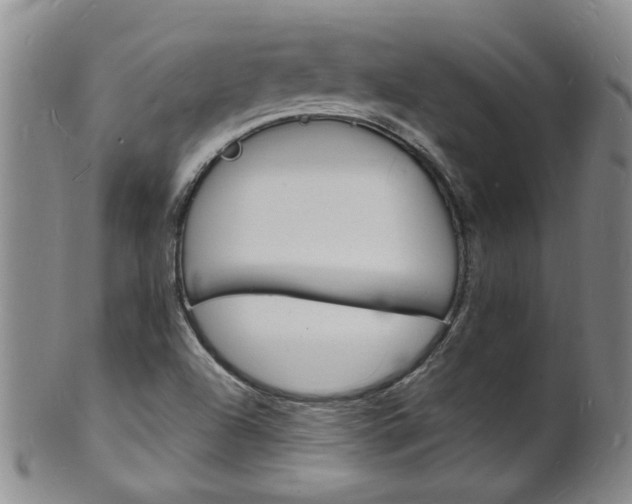 X0000101671504200807101037