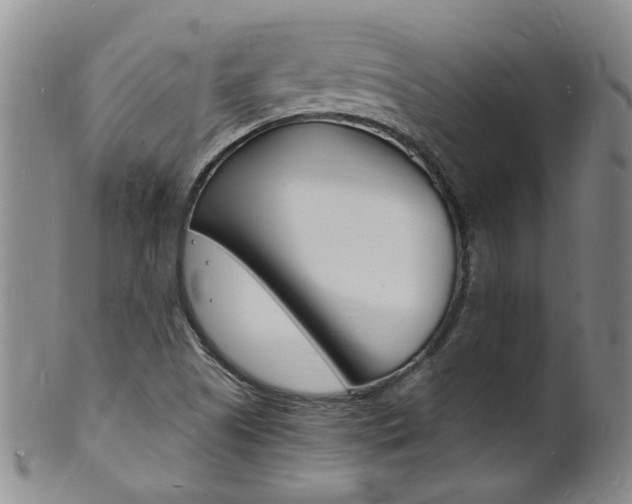 X0000101671505200807101037