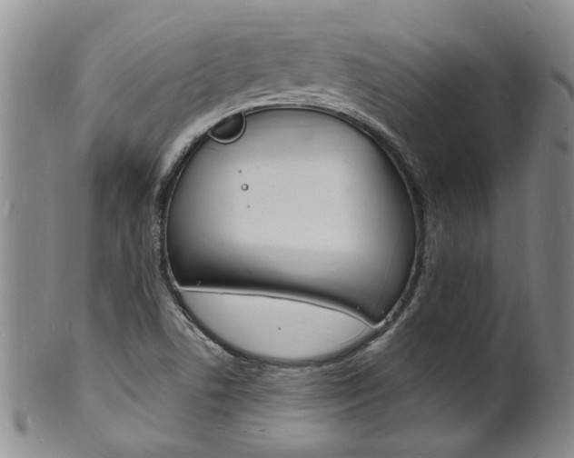 X0000101671506200807101037