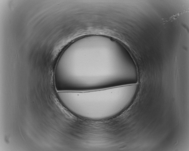 X0000101671507200807101037