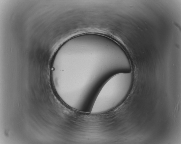 X0000101671508200807101037