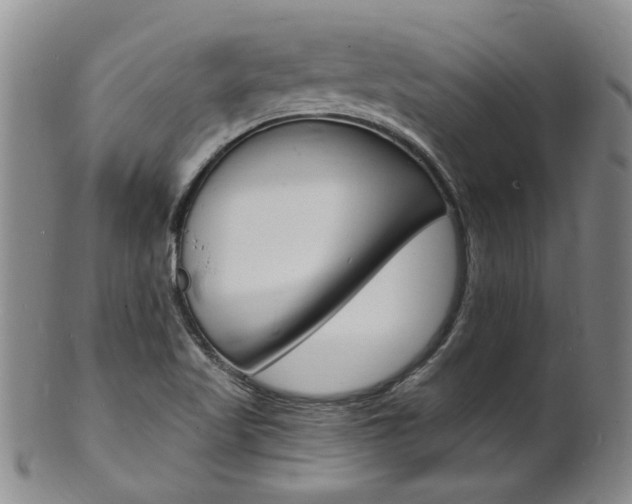 X0000101671509200807101037