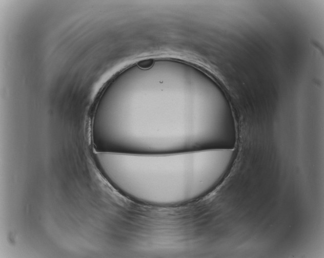 X0000101671510200807101037