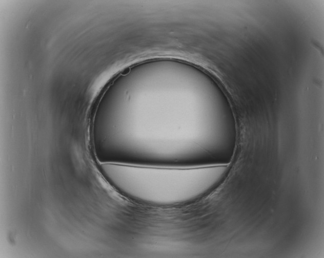 X0000101671511200807101037