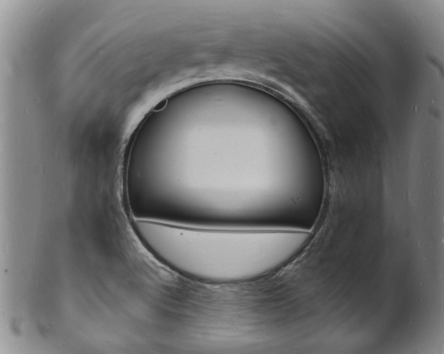 X0000101671512200807101037