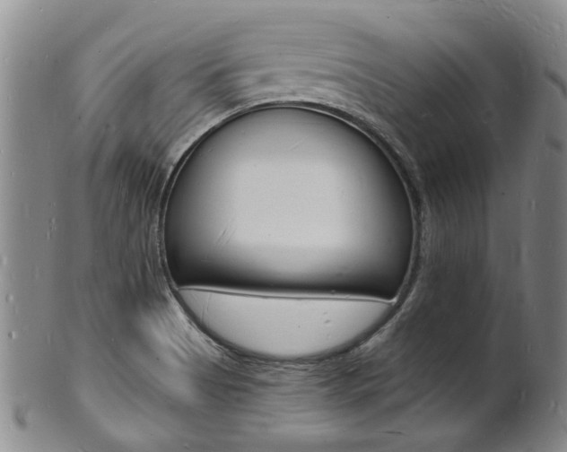 X0000101671513200807101037