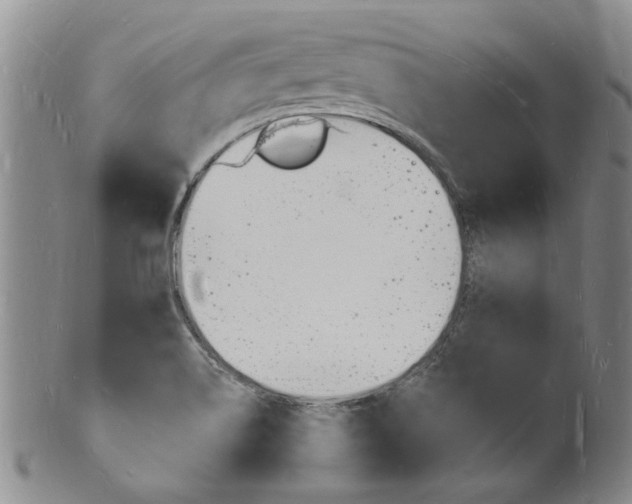 X0000101671514200807101037