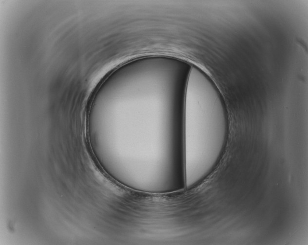 X0000101671515200807101037