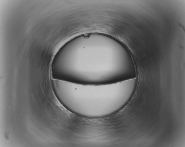 X0000101671516200807101037