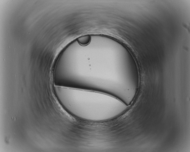 X0000101671517200807101037