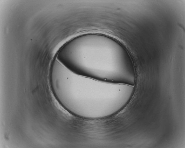 X0000101671518200807101037