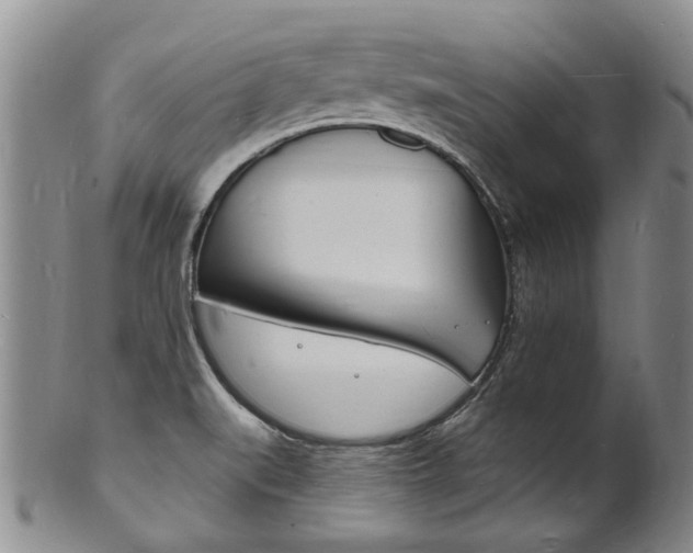 X0000101671519200807101037