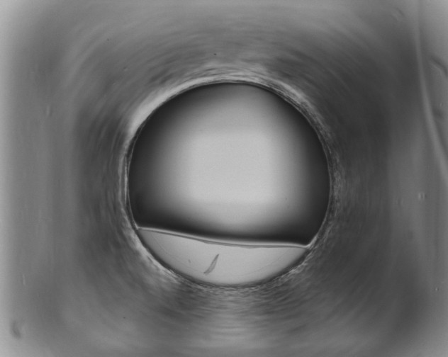 X0000101671520200807101037