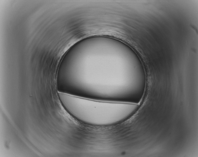 X0000101671521200807101037