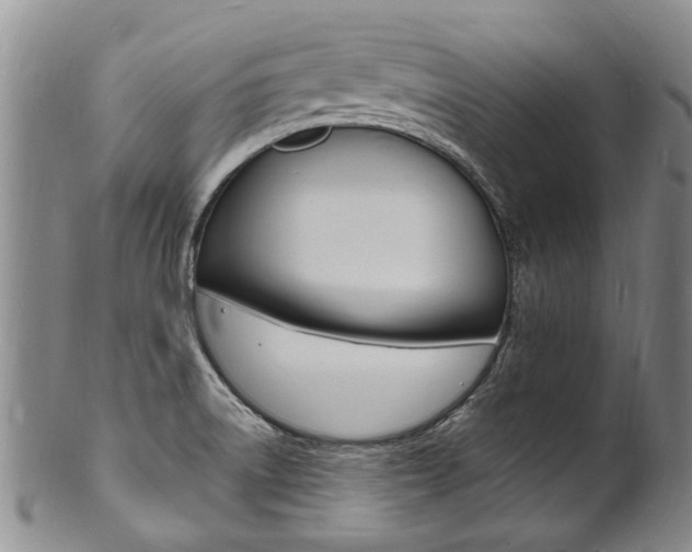 X0000101671522200807101037
