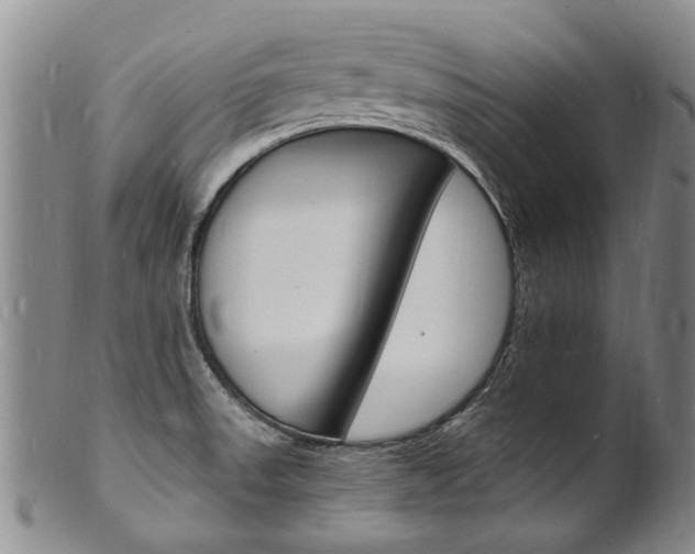 X0000101671523200807101037