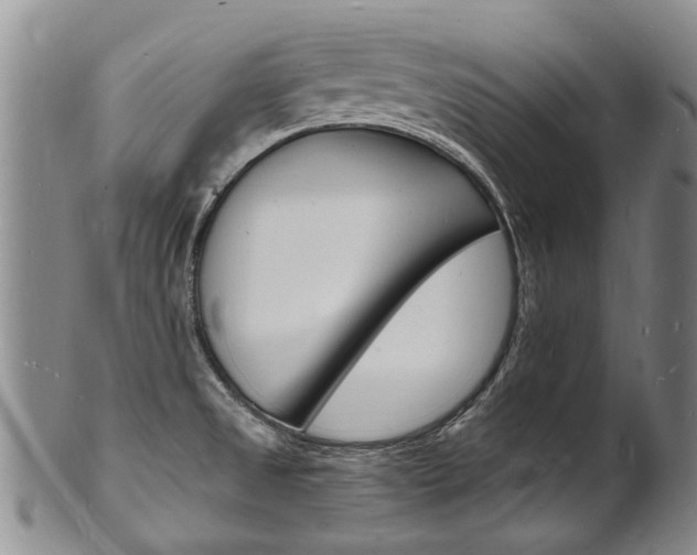 X0000101671525200807101037