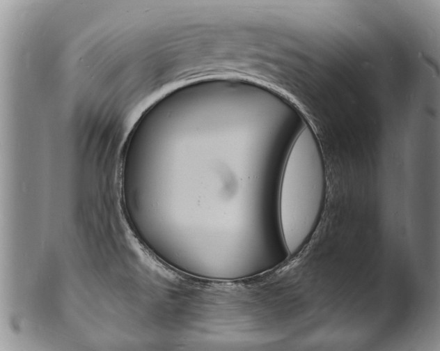 X0000101671526200807101037